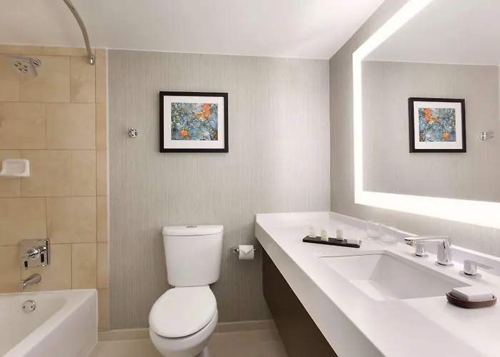 Embassy By Hilton Chicago 3*
