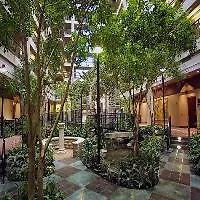 Hotel Embassy By Hilton Chicago 3*