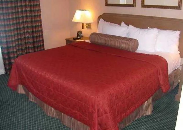 Embassy By Hilton Chicago Hotel Lombard