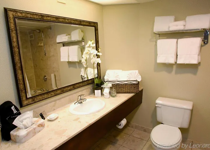 Hotel Embassy By Hilton Chicago 3*